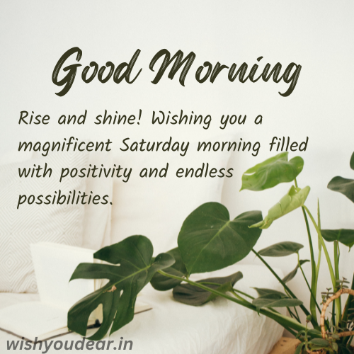 Saturday Morning Wishes, Greetings and Messages
