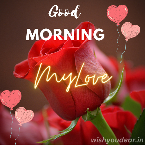 200+ Good Morning Love Messages and Wishes