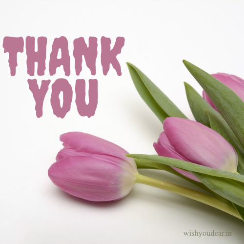 190+ Thank You Messages, Wishes and Quotes